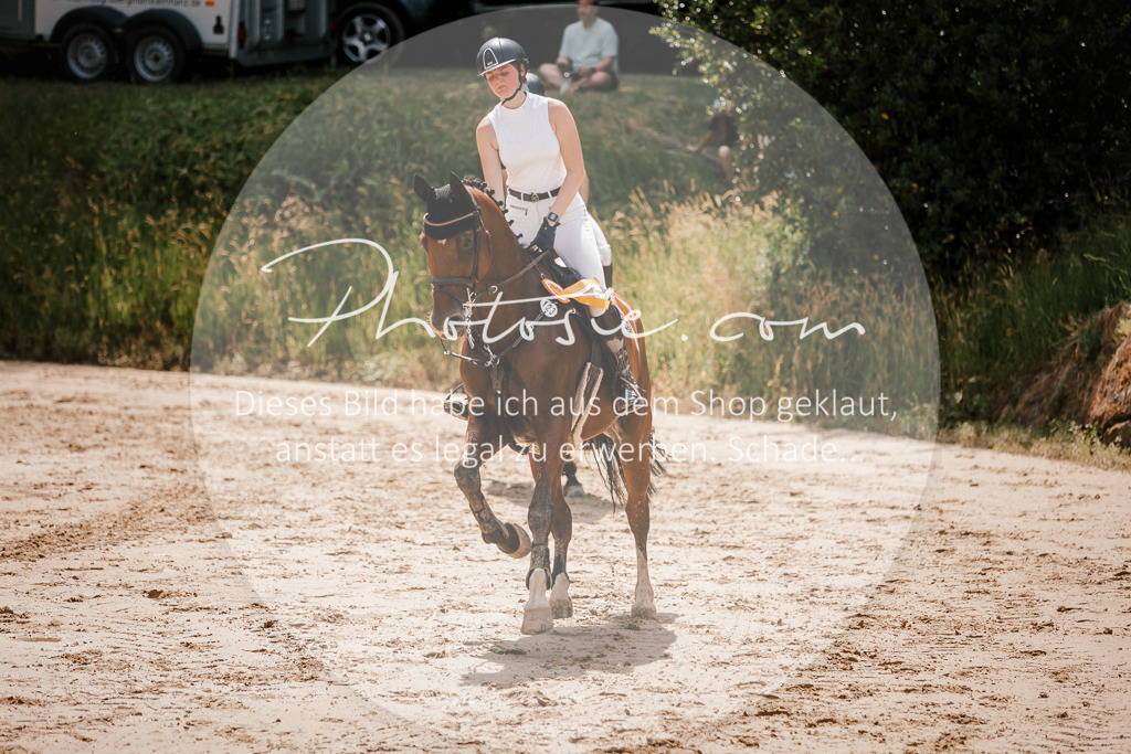 3I6A8163 | Stimmungsvolle Portraits und Reitsportfotografie im Ruhrgebiet und im Münsterland.

Pferdefotografie, Hundefotografie, Tierfotografie, Reportagen, Portraits von Tier und Mensch, Turnierfotografie in Bochum, Recklinghausen, Marl, Haltern am See, Dülmen.. - Realisiert mit Pictrs.com