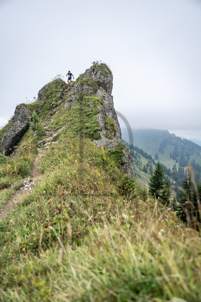 36. Gebirgsmarathon | Immenstadt, 23.08.2025 - 36. Gebirgsmarathon im Naturpark Nagelfluhkette. Einer der anspruchsvollsten​und ältesten Bergläufe​Deutschlands.Foto: Dominik Berchtold/www.dberchtold.com
