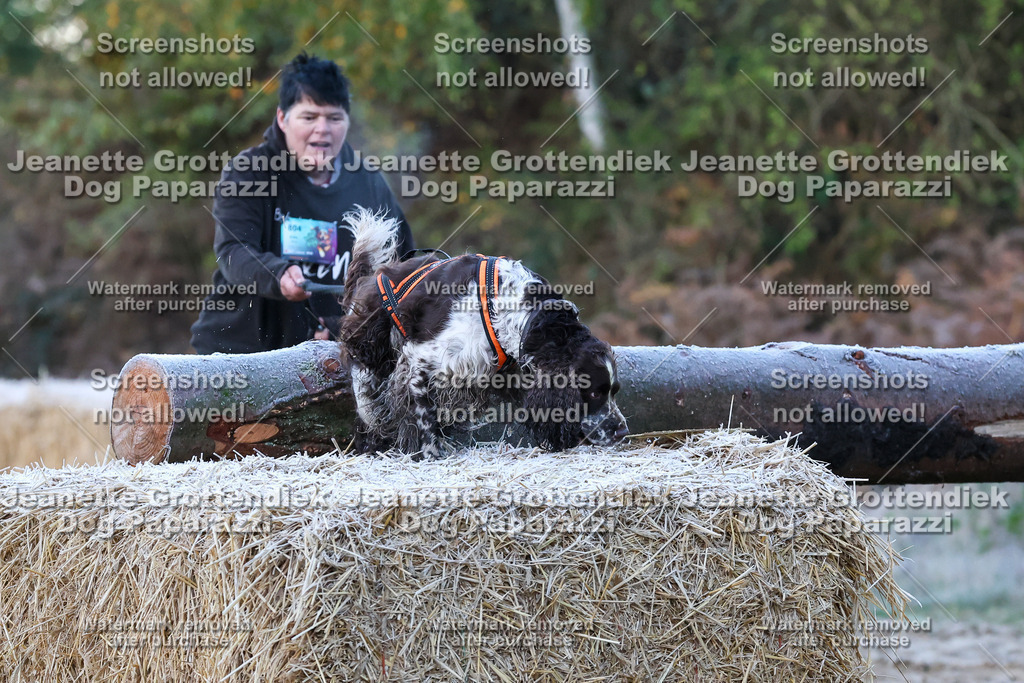 Dog Paparazzi - Strongdog 10-25-146 | Dog Paparazzi Jeanette Grottendiek Fotografie & Videografie - Realisiert mit Pictrs.com
