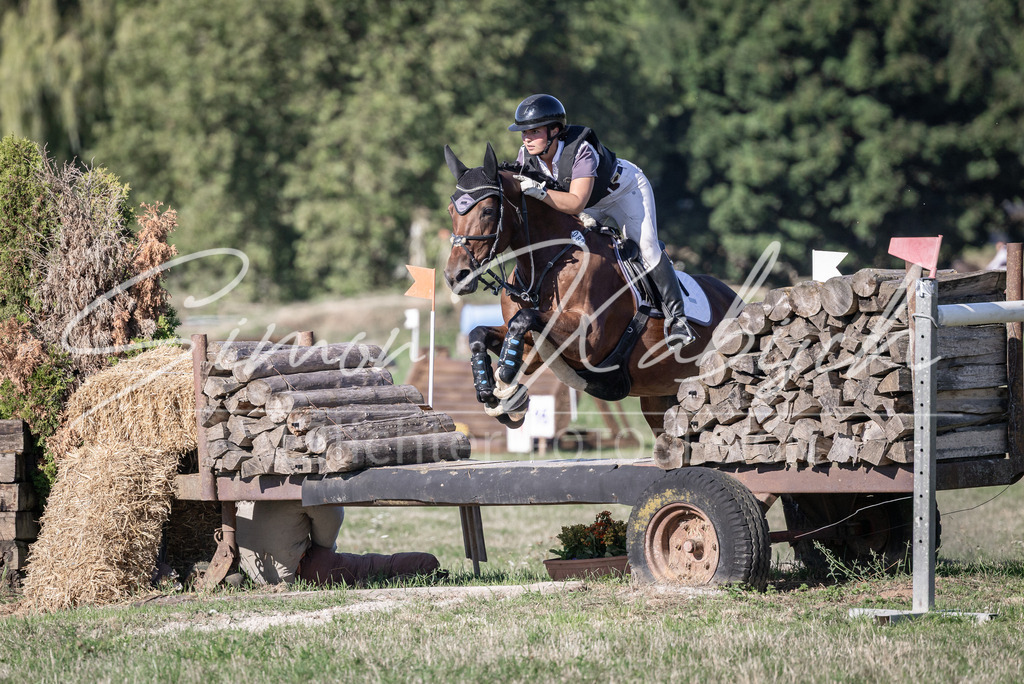 20260906-_3LI2033 | Tierfotografie Pferde, Hunde, Katzen, Haustiere.
Turnierfotografie Reitturniere, Reiten, Springreiten, Dressur in Hanau, dem Main-Kinzig-Kreis und dem Rhein-Main- Gebiet um Frankfurt