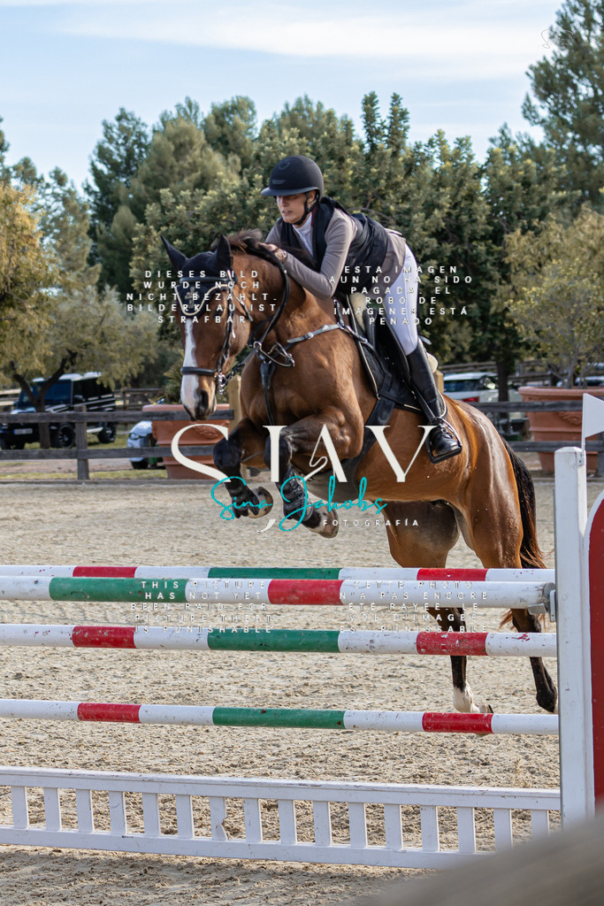 IMG_0429 | s-jay-photography - Realisiert mit Pictrs.com