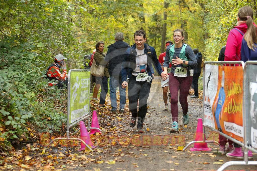 251026_1316_EX1_3043 | Sportfotografie im Rhein-Sieg Kreis, Köln, Bonn, NRW, Rheinland Pfalz, Hessen, etc. Unser Tätigkeitsfeld umfasst den Laufsport vom Volkslauf über den Marathon, Duathlon, Triathon bis zum Ultralauf wie Kölnpfad Ultra oder Schindertrail.