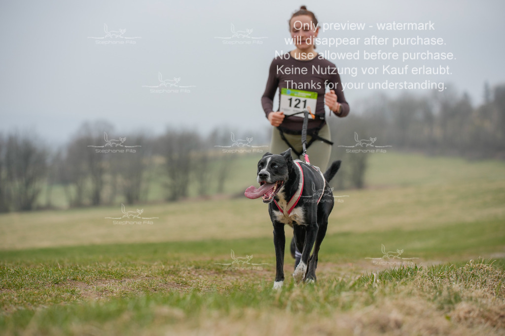 Canixlong-162 | stephaniefillaphotographie - Realisiert mit Pictrs.com