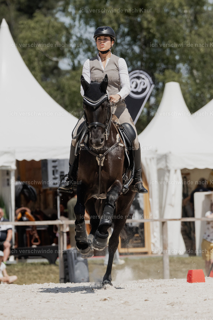 _AM10001 | working equitationturnier fotograf videograf stoibphotography marixx film working equitation deutschland reitsport turnierfotografie eventfotografie equestrian events