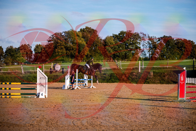 2026_10_03_Siefer-Hof_171044_Z81_07687907 | Professionelle Reitsport-, Turnier- und Eventfotografie von Robert Broda. Galerien mit ausgewählten und bearbeiteten Bildern direkt online ansehen und bestellen.
