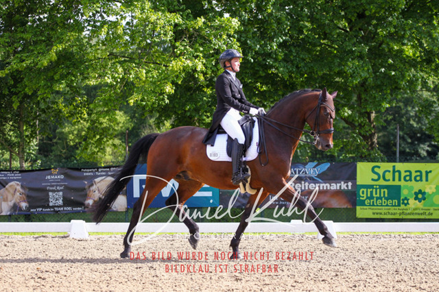 DKP41496 | Deine Turnierfotos vom Reitturnier online kaufen: Dressur, Springen & Siegerehrung. Professionelle Pferdefotografie aus dem Rheinland – als Download & Print.Alternative: Turnierfotograf für den Pferdesport: Finde deine Fotos von Dressur- und Springturnier