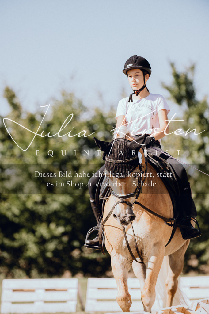 DSC_7265 | Pferde- und Turnierfotografie in Westsachsen. Pferdeportraits, Auftragszeichnungen und intuitive Kunst.