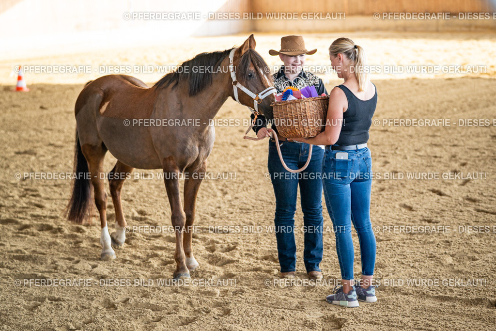 DSC07628 | Pferdegrafie