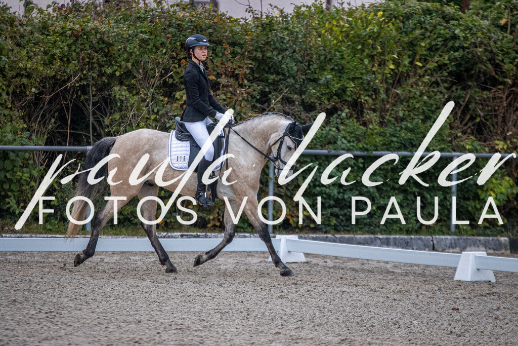 IMG_2347 | Erleben Sie dynamische Sport- und emotionale Tierfotografie in Süddeutschland mit Fotos von Paula. Spezialisiert auf Pferde- und Hundefotografie sowie Sportevents. Kontaktieren Sie mich für einzigartige und ausdrucksstarke Bilder Ihrer besonderen Momente. - Realisiert mit Pictrs.com