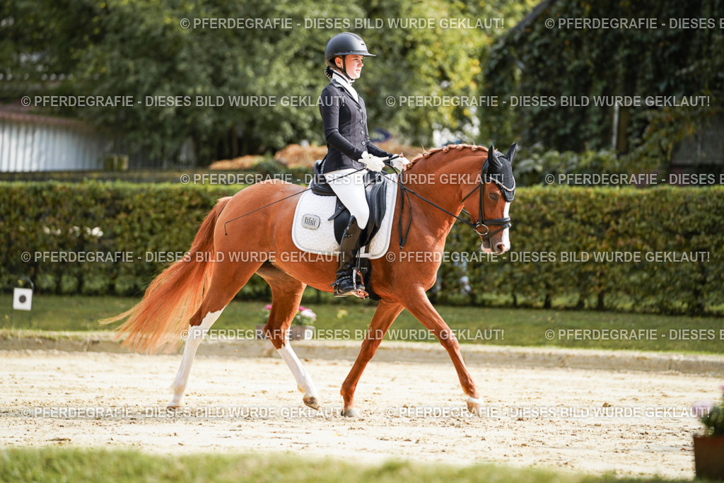 DSC03995 | Pferdegrafie