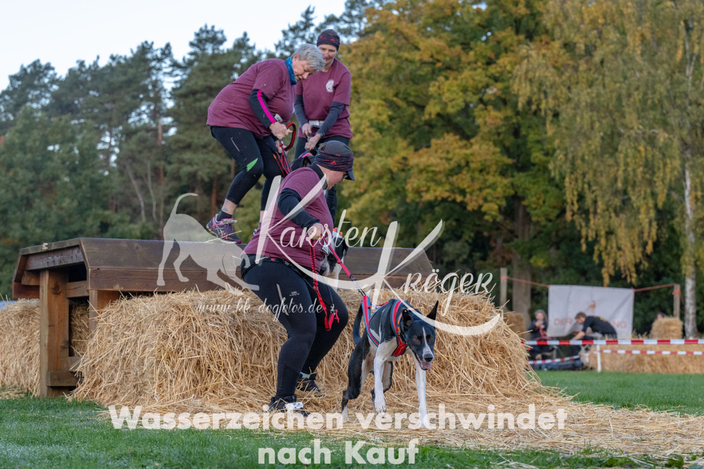 0827_ZZ90756 | kk-dogfotos