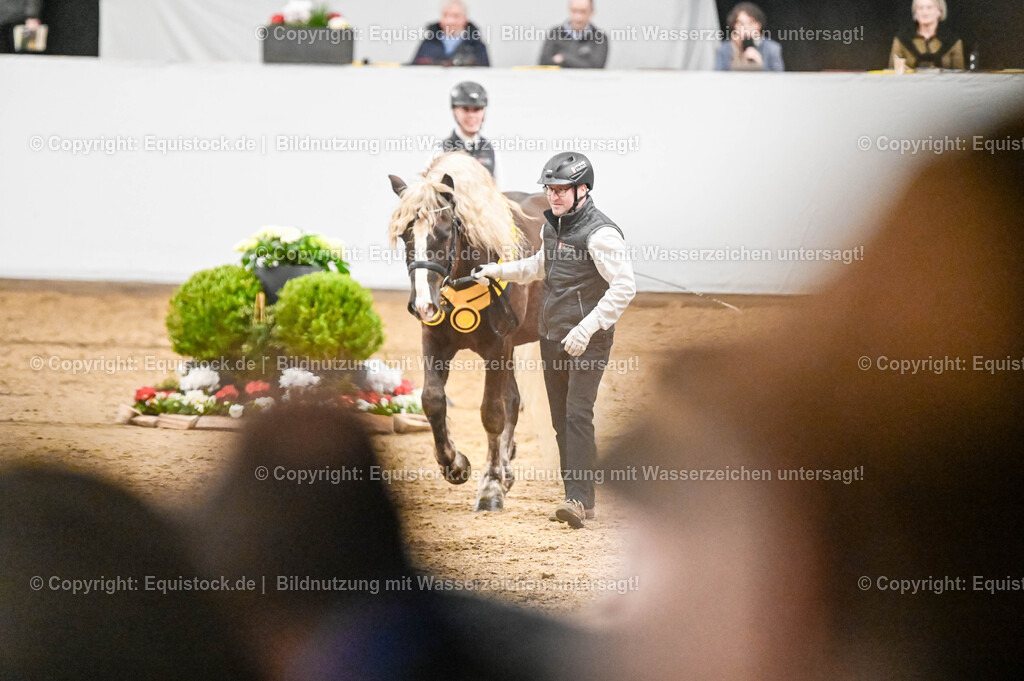 20260307_Hengstvorstellung-Marbach_0258 | equistock