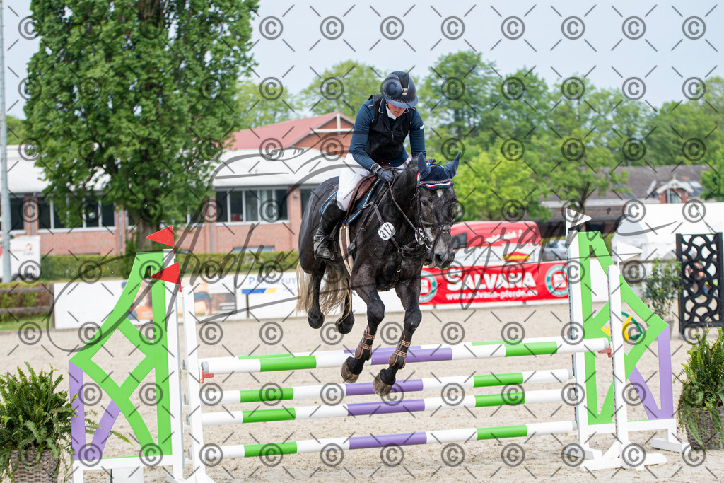 KPT_2729 | andre_photographic