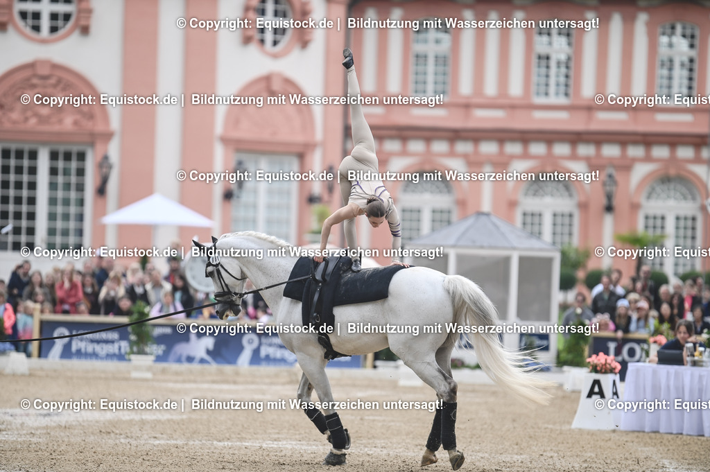 20240519_Voltige_0269 | Foto: Thomas Hartig