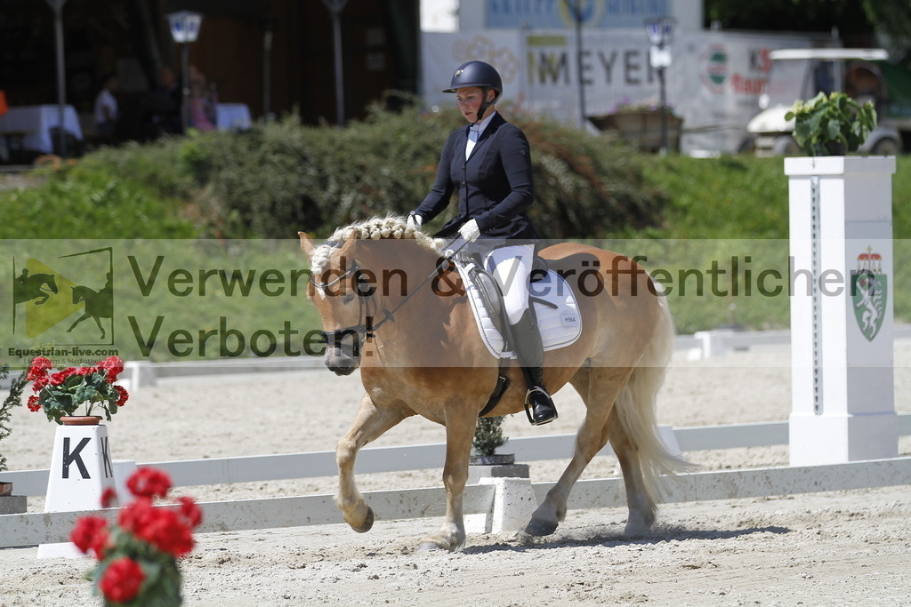 _MG_5273 | equestrian-live-com