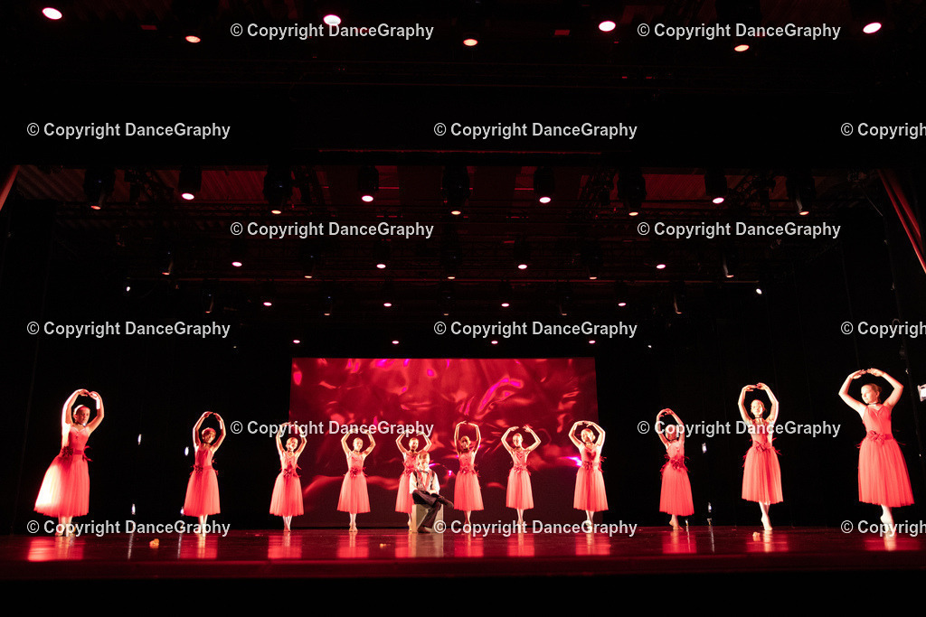 GPHY5175 | DanceGraphy - Realisiert mit Pictrs.com