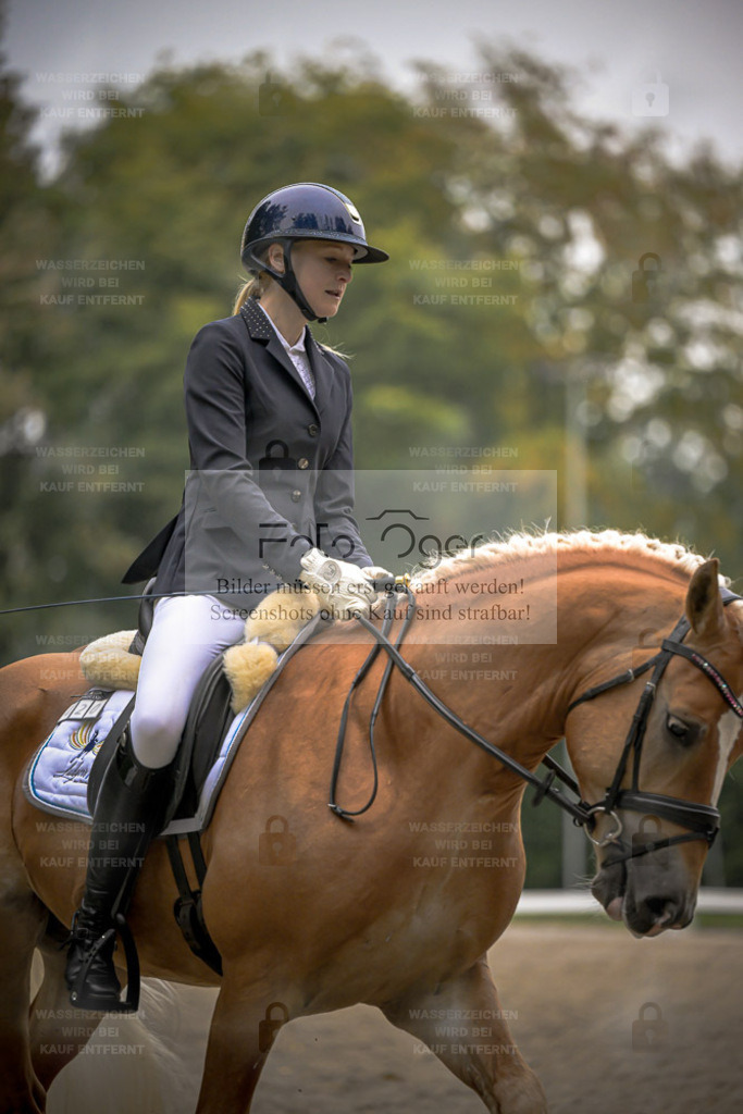 FOTO OGER | Entdecke hochwertige Reitturnierfotos von Foto Oger. Professionell, emotional und authentisch – jetzt Lieblingsmomente im Shop bestellen. - Realisiert mit Pictrs.com