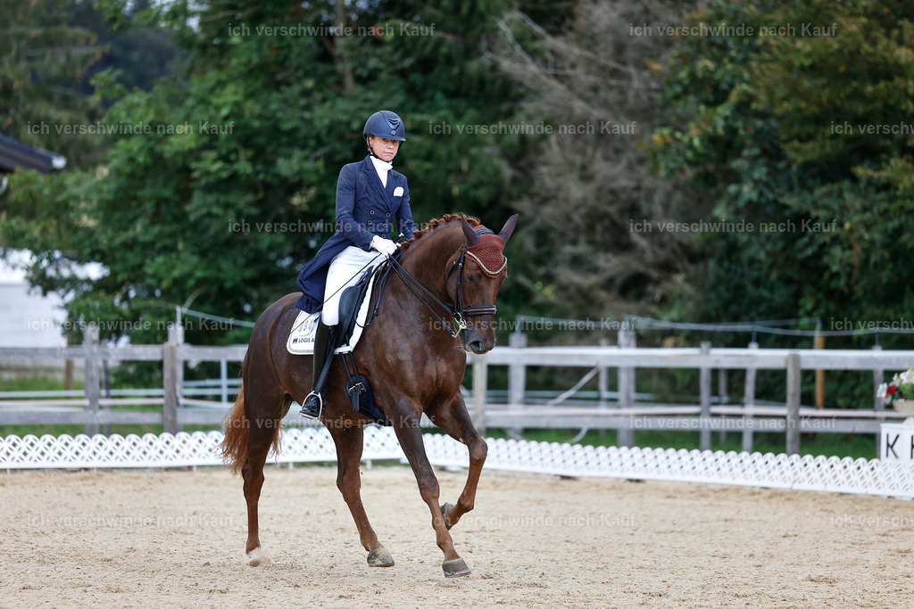 8_1-094-Klasse S_  -StoibPH-3859 | working equitationturnier fotograf videograf stoibphotography marixx film working equitation deutschland reitsport turnierfotografie eventfotografie equestrian events