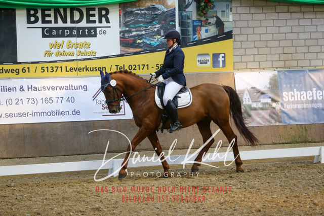 IMG_2687 | Turnierfotos kaufen im Webshop von Daniel Kuhl Photography – entdecke professionelle Reitsportfotos aus Turnieren & Events. Hochwertige Turnierbilder online bestellen & sichern. Jetzt Fotos von Reitsportturnieren kaufen!