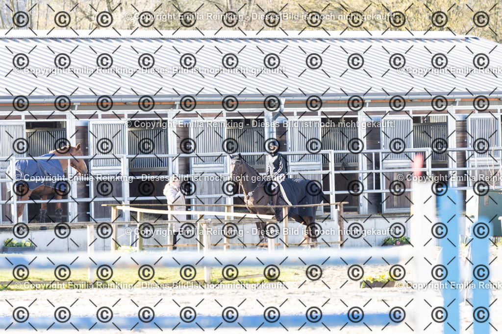 CL5A4741 | Emilia Reinking Fotografie - Realisiert mit Pictrs.com