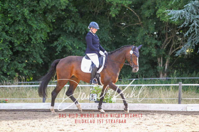 DKP45445 | Turniersportfotografie; Pferdefotografie; Dressurfotografie