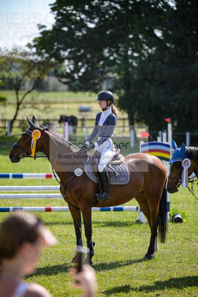 Reitturnier Voxtrup | Entdecke hochwertige Reitturnierfotos von Foto Oger. Professionell, emotional und authentisch – jetzt Lieblingsmomente im Shop bestellen. - Realisiert mit Pictrs.com