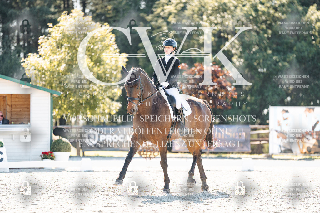 CK905695 | Turnierfotografie Pferdefotografie Trier Rheinland-Pfalz Pferdesport Reitsport Tierfotografie Sportfotografie Pferdevideo Pferdevideografie Equestrianvideography equestrianphotography  - Realisiert mit Pictrs.com