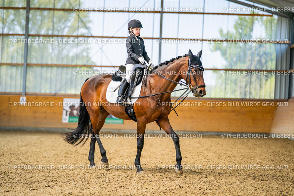 DSC02674 | Pferdegrafie