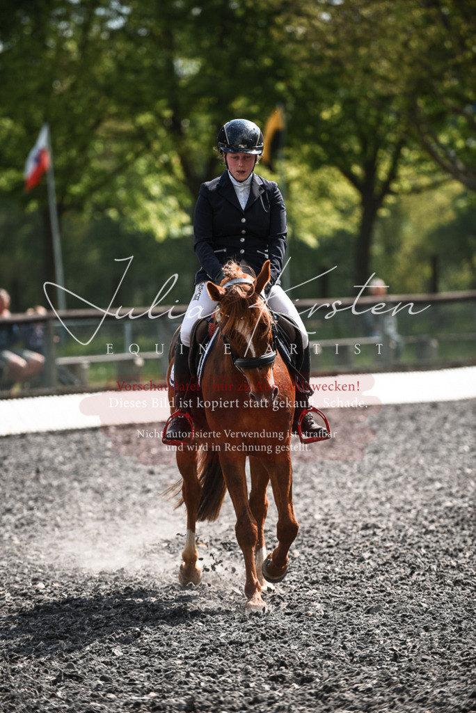 DSC_9045 | Pferde- und Turnierfotografie in Westsachsen. Pferdeportraits, Auftragszeichnungen und intuitive Kunst.