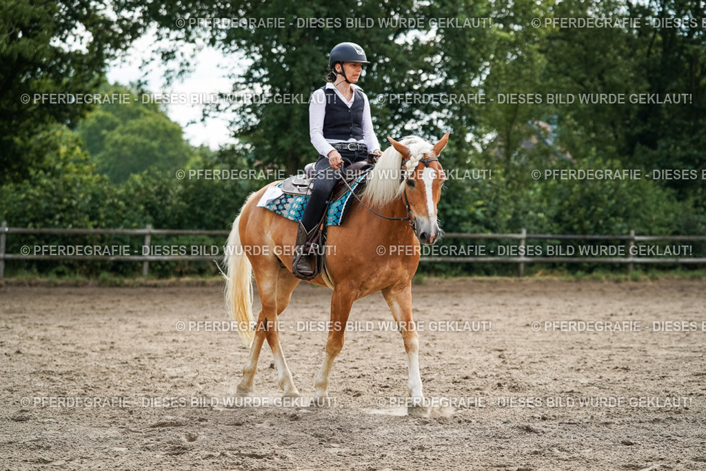 DSC03572 | Pferdegrafie