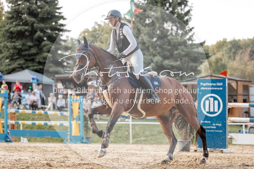 3I6A5206 | Stimmungsvolle Portraits und Reitsportfotografie im Ruhrgebiet und im Münsterland.

Pferdefotografie, Hundefotografie, Tierfotografie, Reportagen, Portraits von Tier und Mensch, Turnierfotografie in Bochum, Recklinghausen, Marl, Haltern am See, Dülmen.. - Realisiert mit Pictrs.com