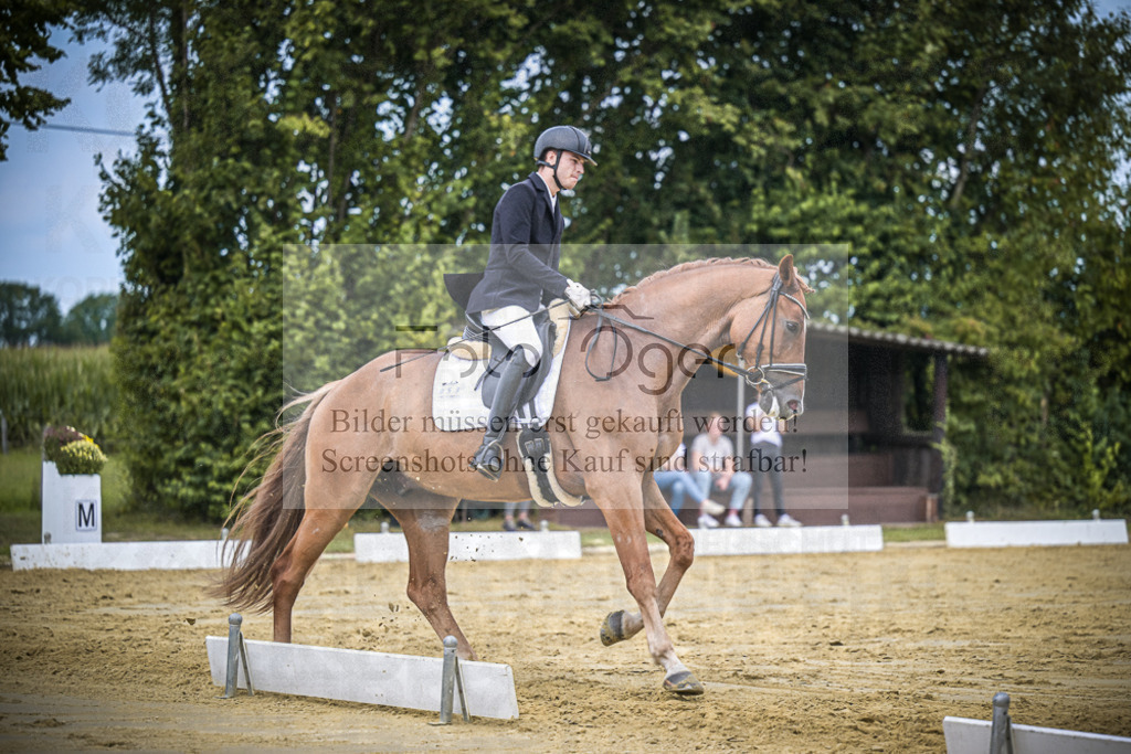 DOS_1748 | Entdecke hochwertige Reitturnierfotos von Foto Oger. Professionell, emotional und authentisch – jetzt Lieblingsmomente im Shop bestellen.Deutschlandweite Turnierfotografie. - Realisiert mit Pictrs.com
