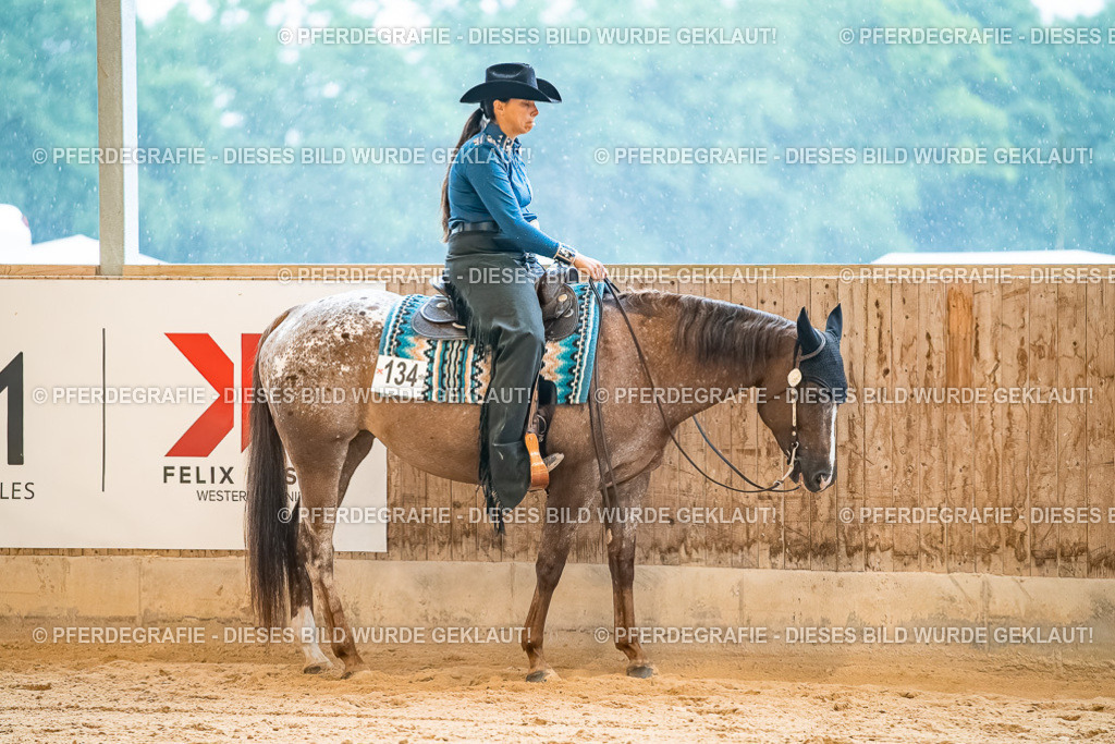 DSC00147 | Pferdegrafie