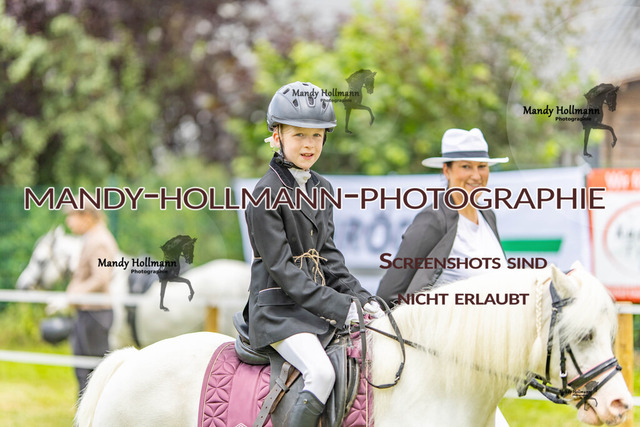 IG WELSH M 2024-192 | mandyhollmannphotographie
