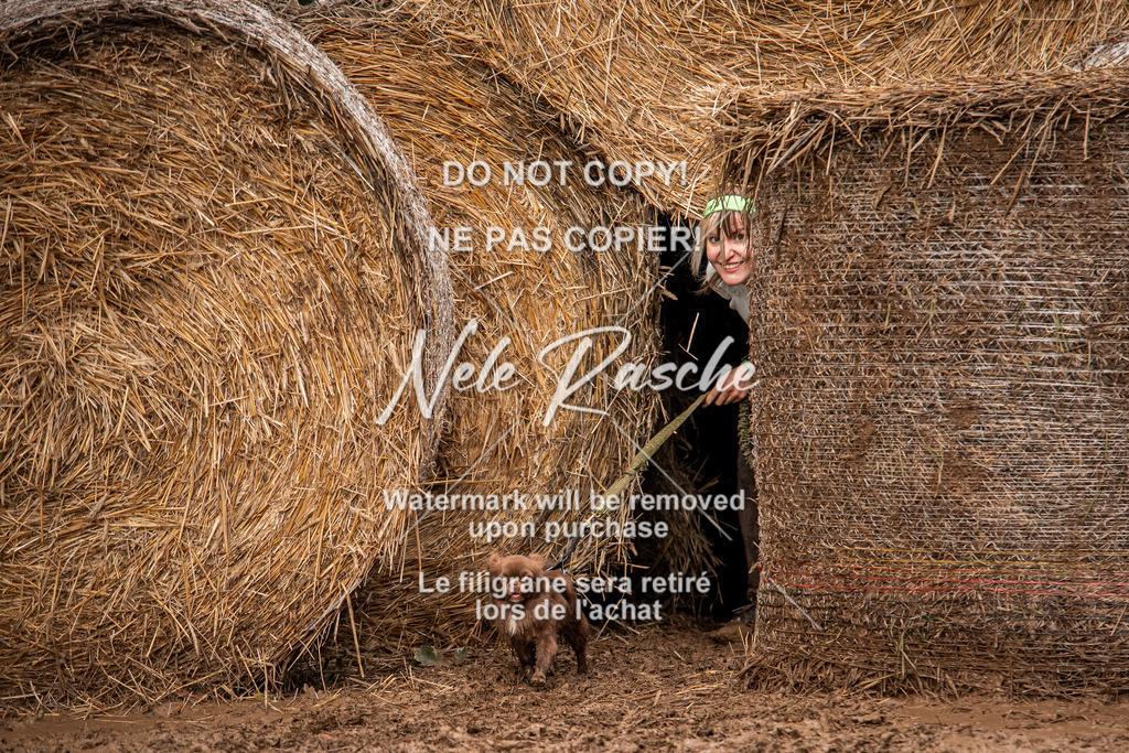 nelerasche_Hunsrück_So09-11_41 | nelerasche