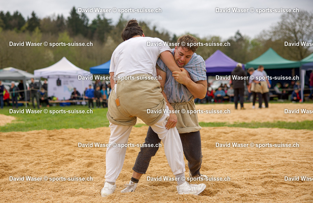 Althaus Thiben _ - Berger Sascha _ la F_te R_gionale de Ried bei Kerzers le 13.04.2025 (1) | Althaus Thiben * - Berger Sascha à la Fête Régionale de Ried bei Kerzers le 13.04.2025