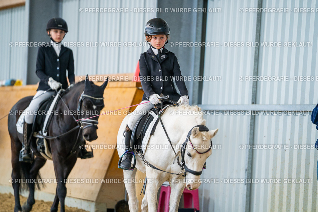 DSC01117 | Pferdegrafie