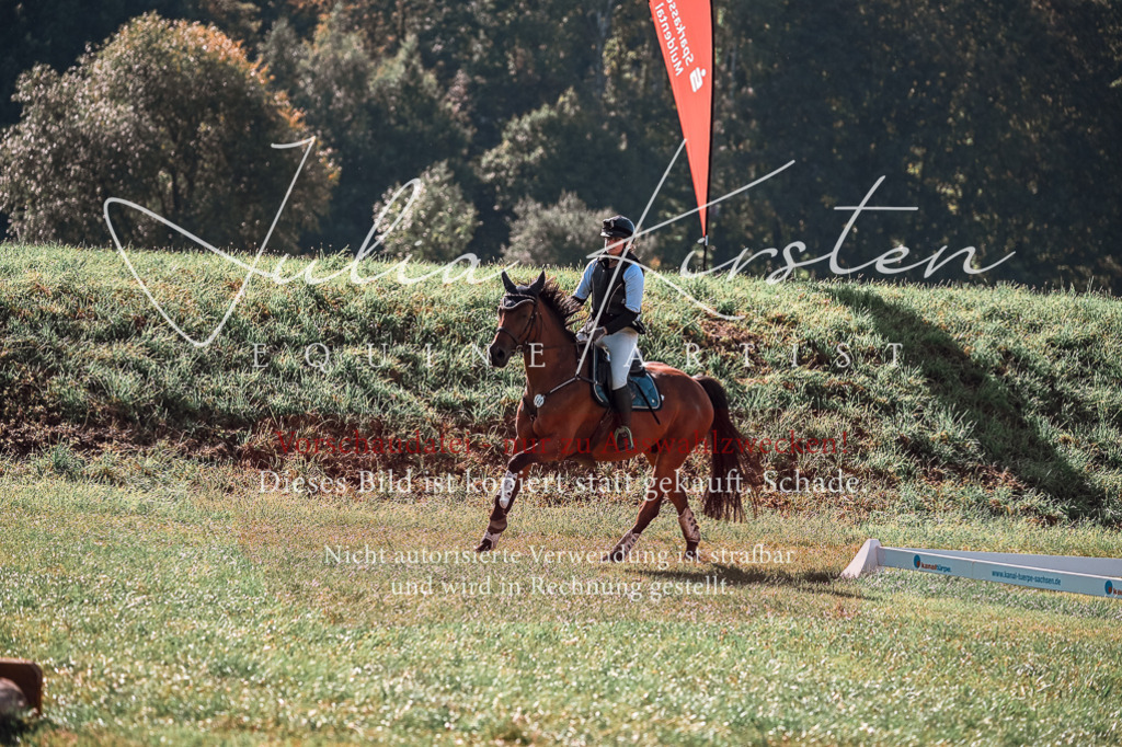 DSC_0723 | Pferde- und Turnierfotografie in Westsachsen. Pferdeportraits, Auftragszeichnungen und intuitive Kunst.