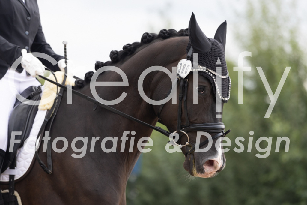 IMG_0487 | Creatify Fotografie