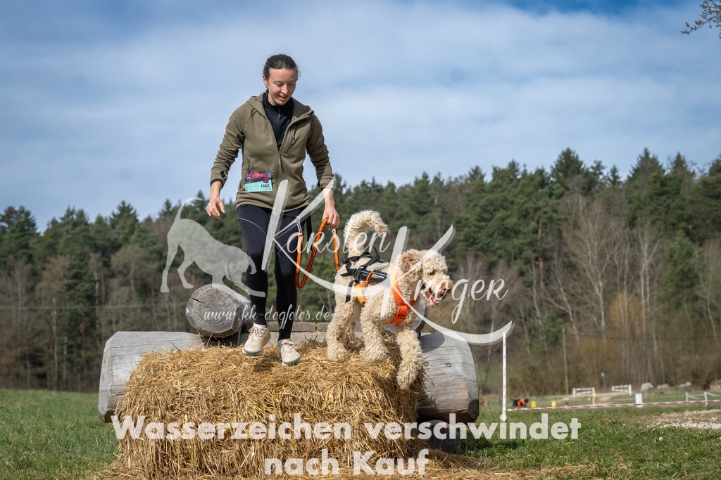 1048_ZZ93868 | kk-dogfotos