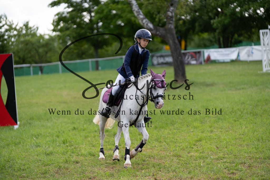 A7V03873 | Pferdefotograf