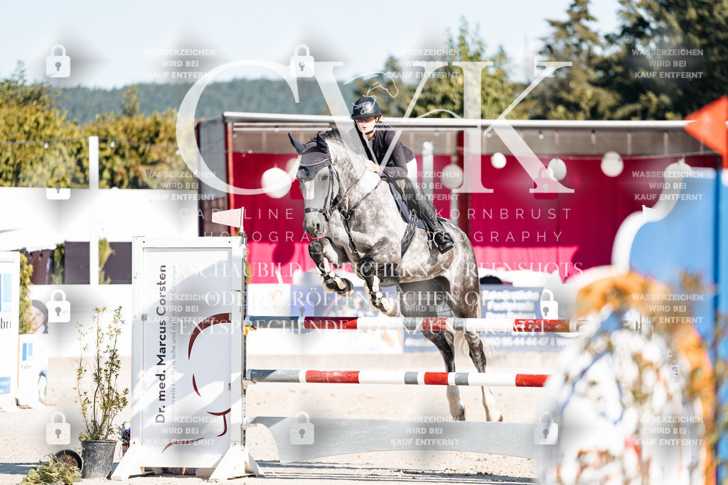 CK904645 | Turnierfotografie Pferdefotografie Trier Rheinland-Pfalz Pferdesport Reitsport Tierfotografie Sportfotografie Pferdevideo Pferdevideografie Equestrianvideography equestrianphotography  - Realisiert mit Pictrs.com