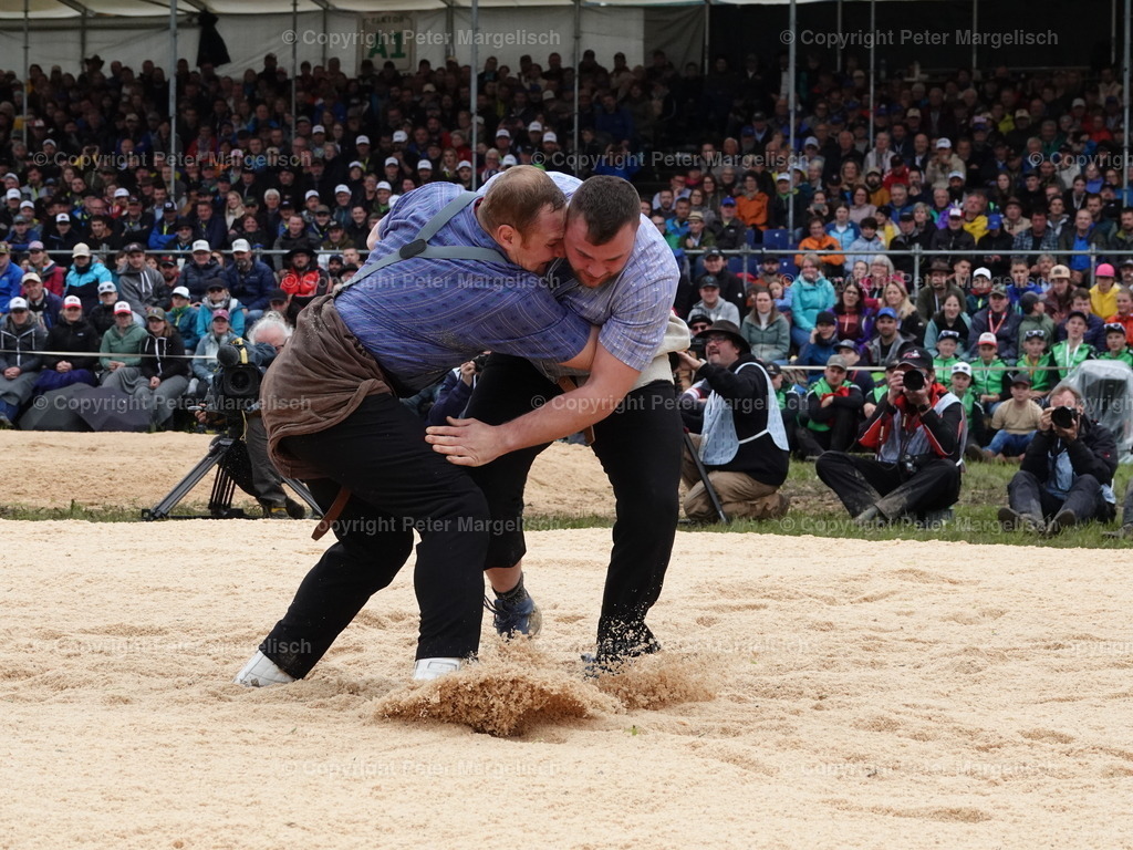 DSC07739 | Schwingen - Realisiert mit Pictrs.com