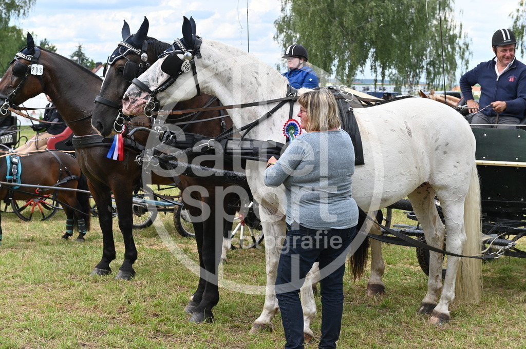 DSC_4602 | sattelsport - Realisiert mit Pictrs.com