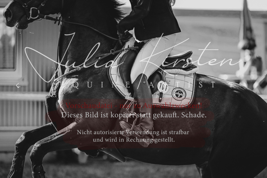 DSC_1159 | Pferde- und Turnierfotografie in Westsachsen. Pferdeportraits, Auftragszeichnungen und intuitive Kunst.