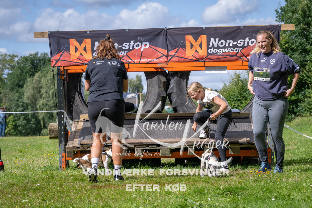 1541_ZZ93824 | kk-dogfotos