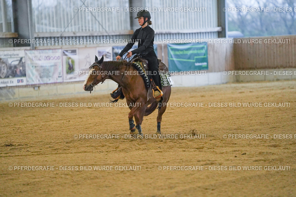 DSC09469 | Pferdegrafie