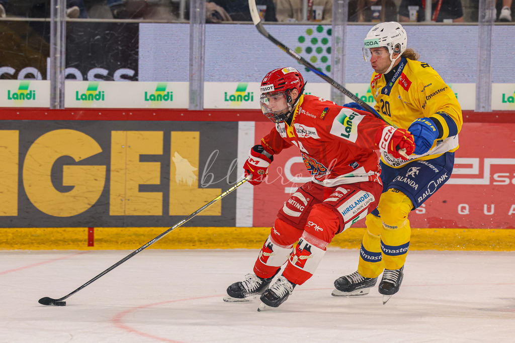 09112025_EHCB vs HCD_wb-3612 | Sportbilder, Sportfotograf, Hochzeits- und Eventfotografin, Flugshows, Portraits und Tiershooting, Aviation, Downhill, Nationalleague, Swissleague, International
