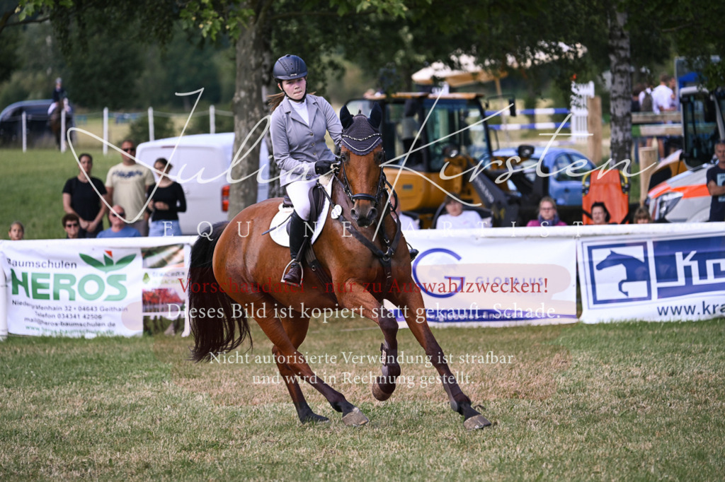 DSC_0566 | Pferde- und Turnierfotografie in Westsachsen. Pferdeportraits, Auftragszeichnungen und intuitive Kunst.