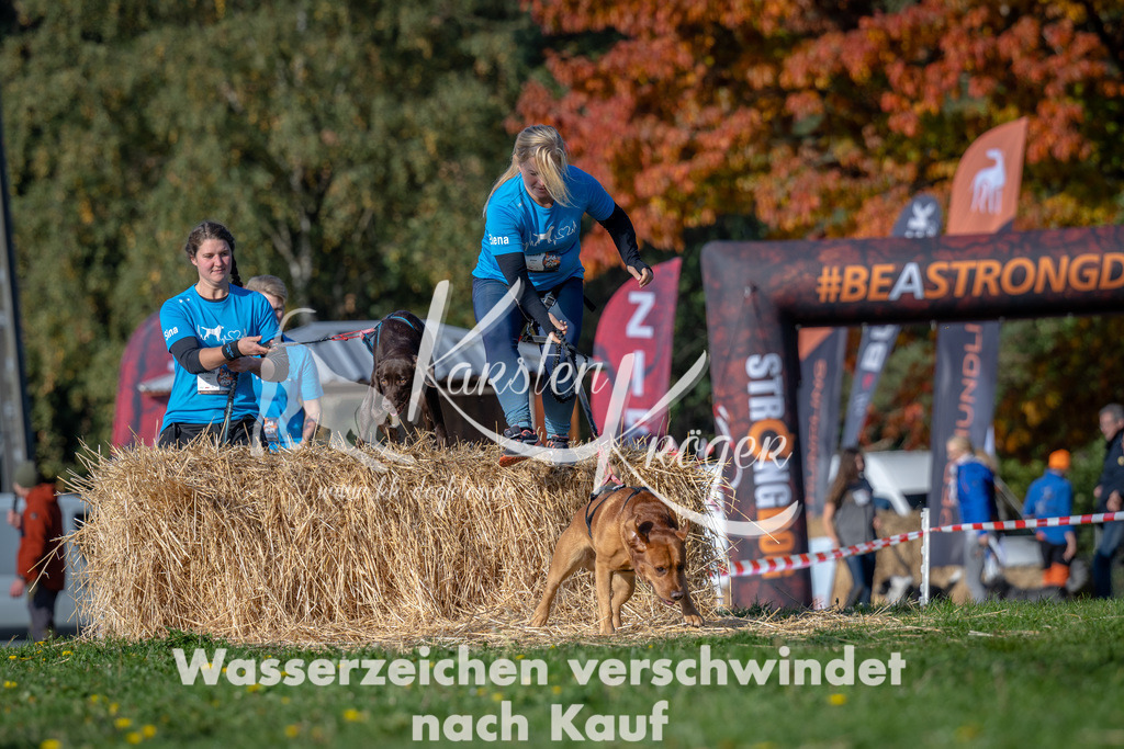 1049_ZZ91581 | kk-dogfotos